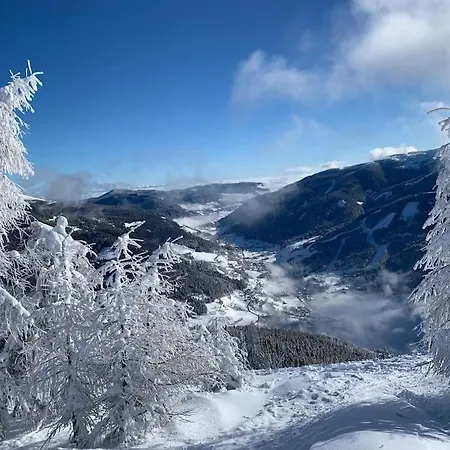 Laerchenhof Lejlighed