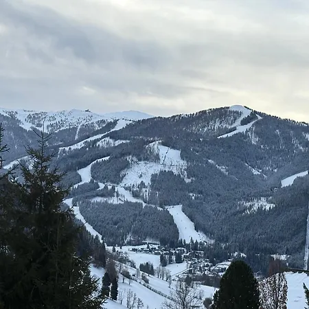 Apartment Larchenhof Bad Kleinkirchheim